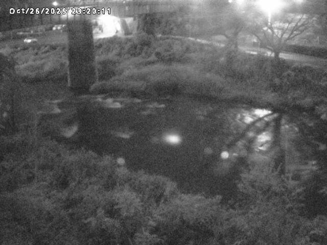 日野川１０2026/10/27 2:50:00