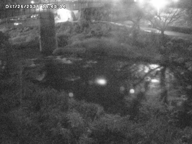 日野川１０2026/10/27 2:50:00