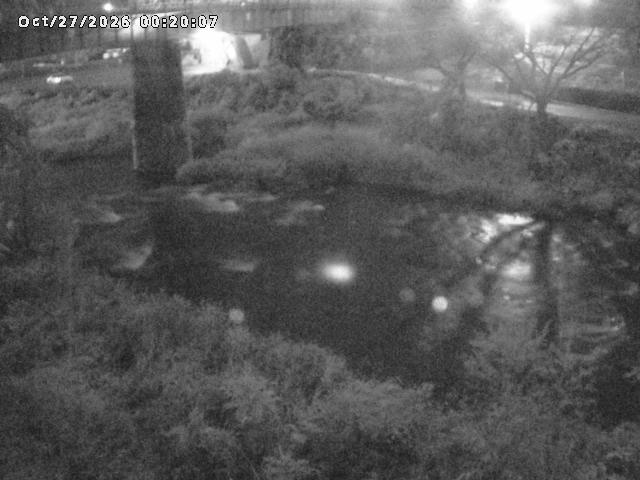 日野川１０2026/10/27 2:50:00