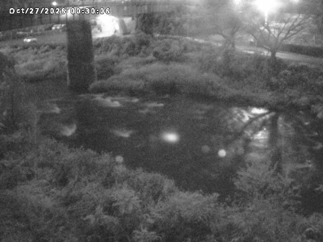 日野川１０2026/10/27 2:50:00