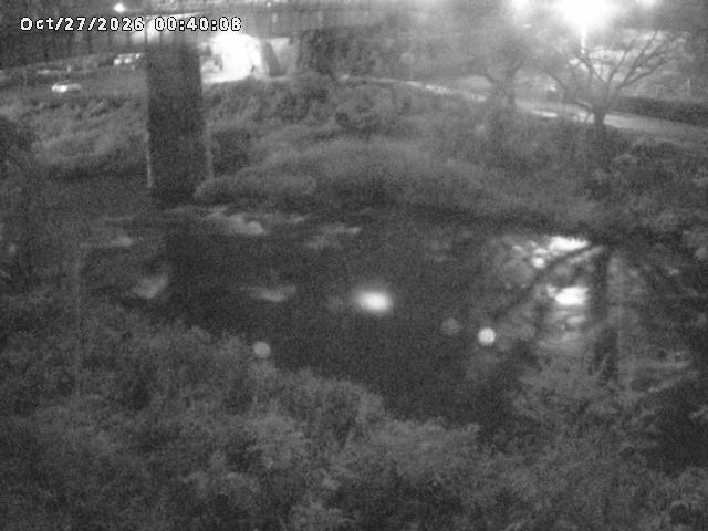 日野川１０2026/10/27 2:50:00