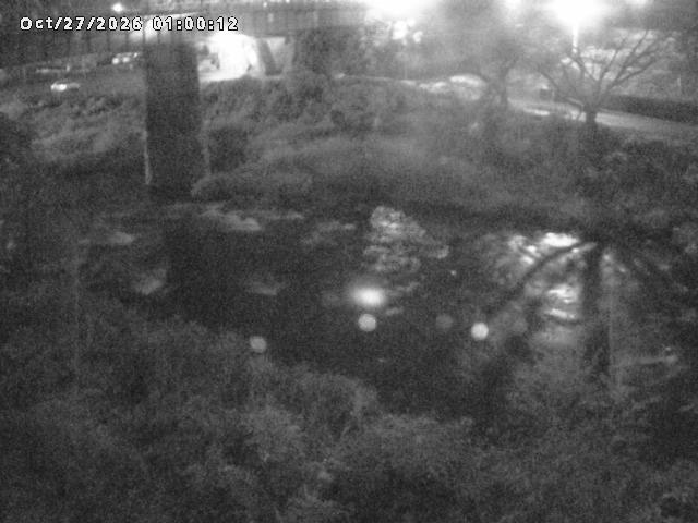 日野川１０2026/10/27 2:50:00