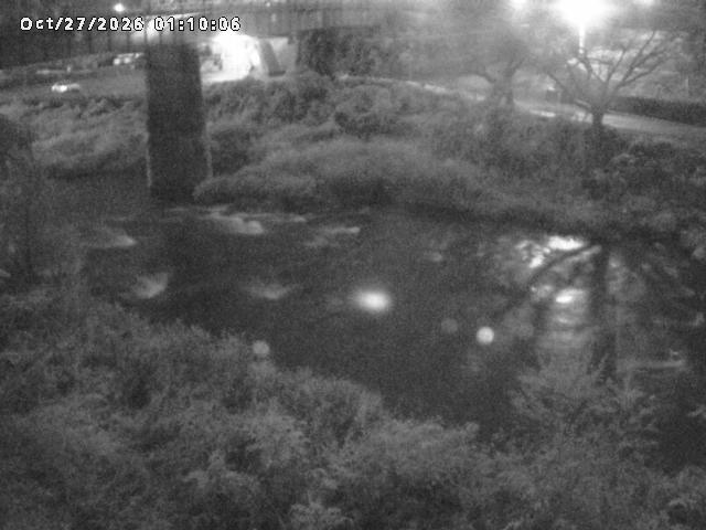 日野川１０2026/10/27 2:50:00