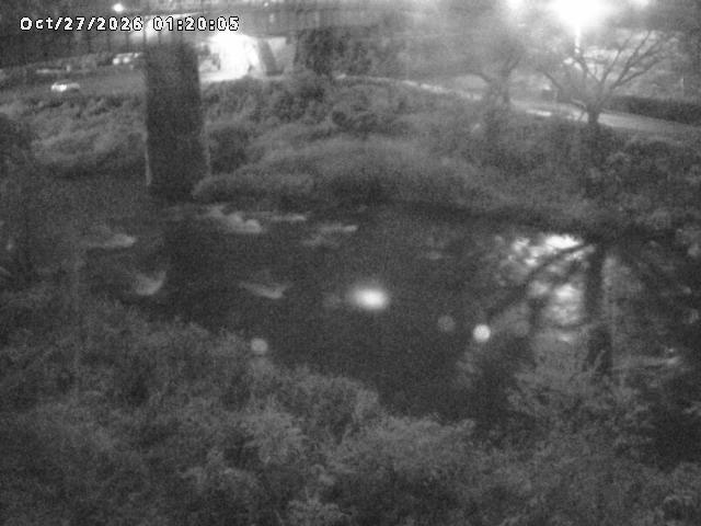 日野川１０2026/10/27 2:50:00
