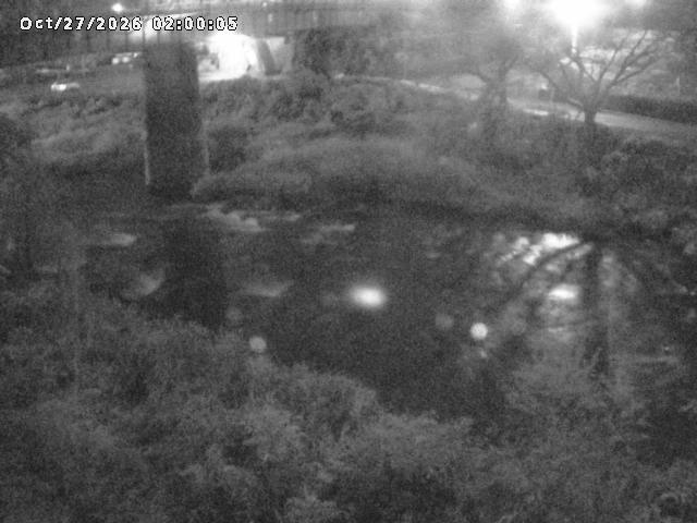 日野川１０2026/10/27 2:50:00