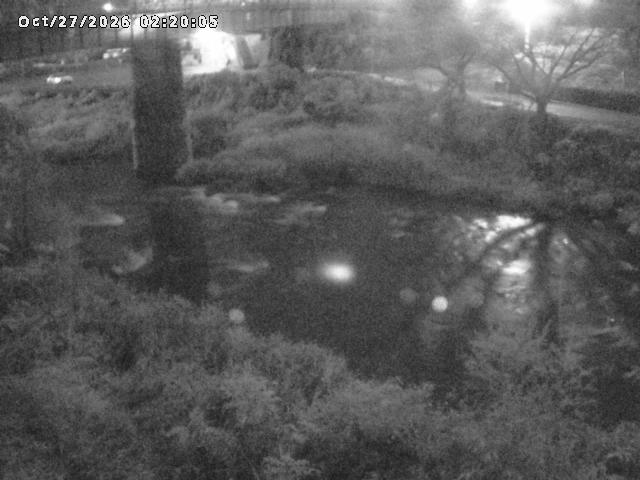 日野川１０2026/10/27 2:50:00