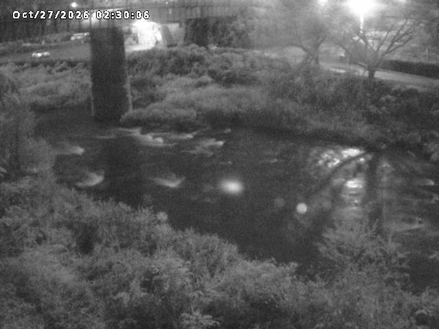 日野川１０2026/10/27 2:50:00