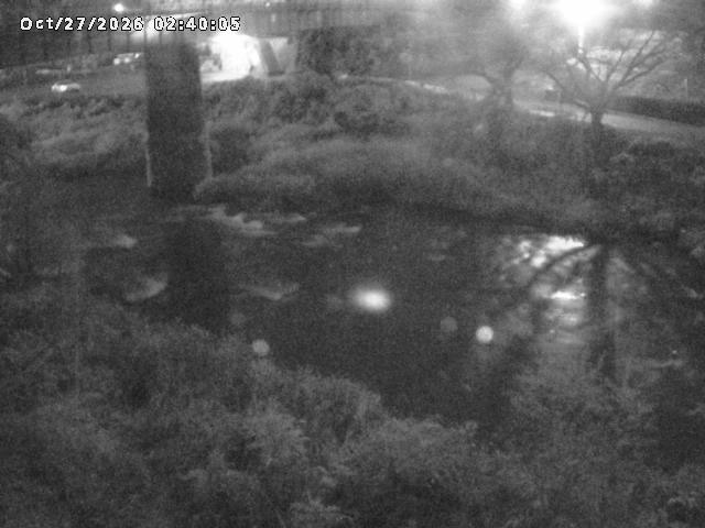 日野川１０2026/10/27 2:50:00
