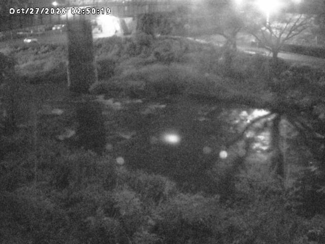 日野川１０2026/10/27 2:50:00