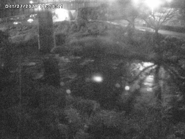 日野川１０2026/10/27 2:50:00