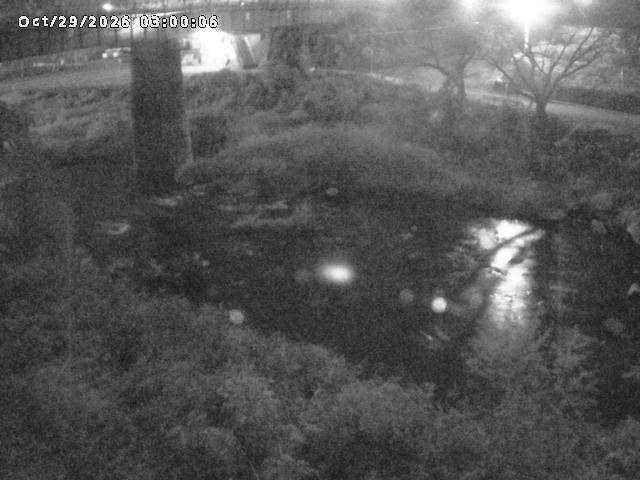 日野川１０2026/10/30 3:30:00