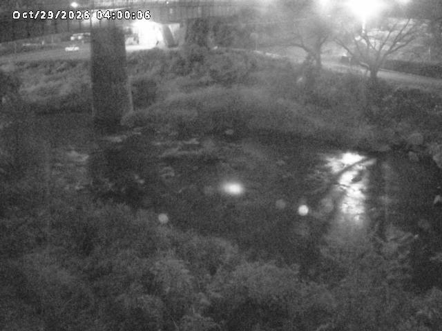 日野川１０2026/10/30 3:30:00