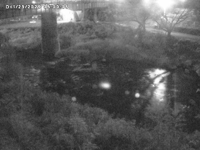 日野川１０2026/10/30 3:30:00