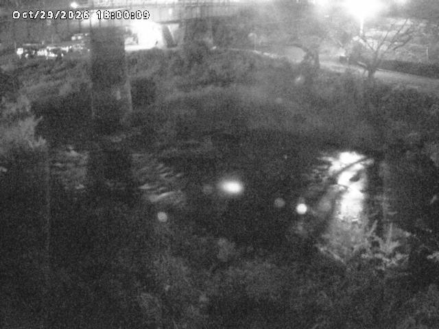 日野川１０2026/10/30 3:30:00