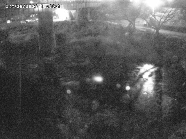 日野川１０2026/10/30 3:30:00
