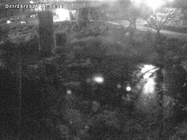 日野川１０2026/10/30 3:30:00
