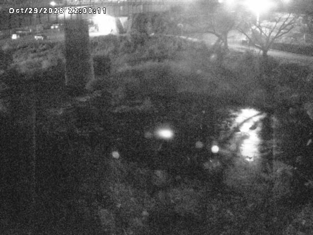 日野川１０2026/10/30 3:30:00
