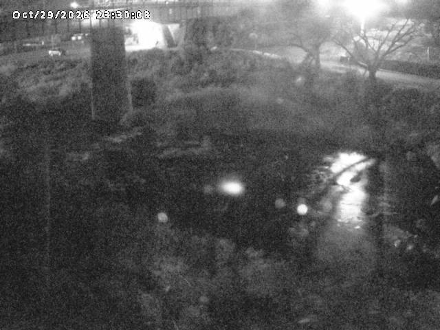 日野川１０2026/10/30 3:30:00