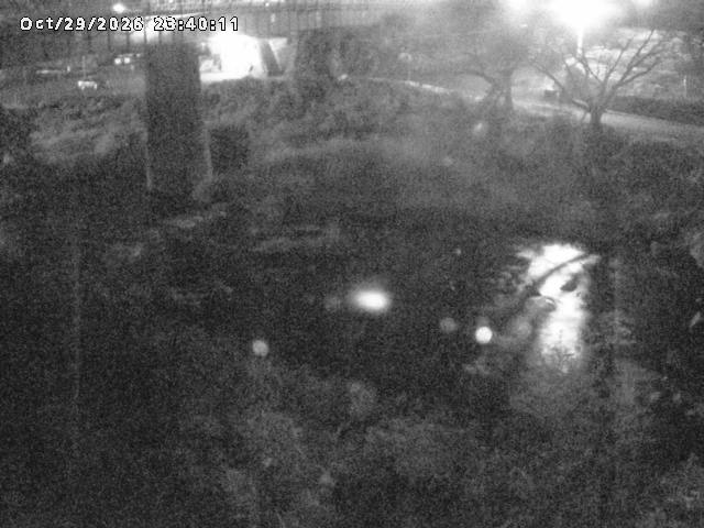 日野川１０2026/10/30 3:30:00