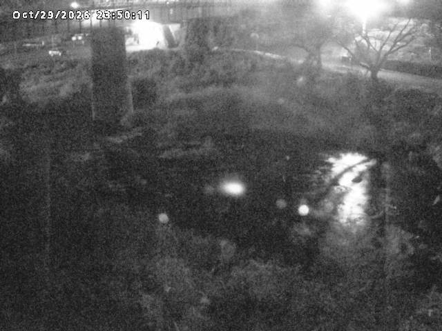 日野川１０2026/10/30 3:30:00