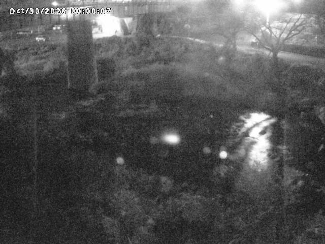 日野川１０2026/10/30 3:30:00
