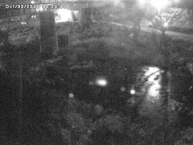 日野川１０2026/10/30 3:30:00
