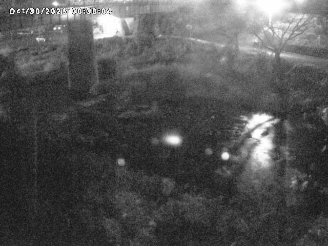 日野川１０2026/10/30 3:30:00