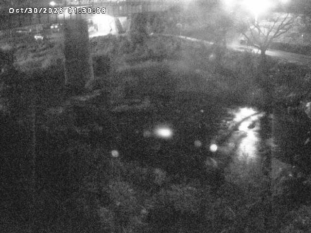 日野川１０2026/10/30 3:30:00