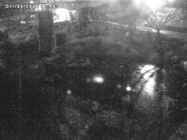 日野川１０2026/10/30 3:30:00