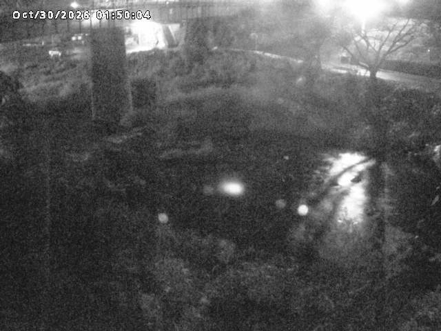 日野川１０2026/10/30 3:30:00