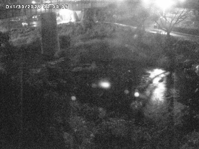 日野川１０2026/10/30 3:30:00