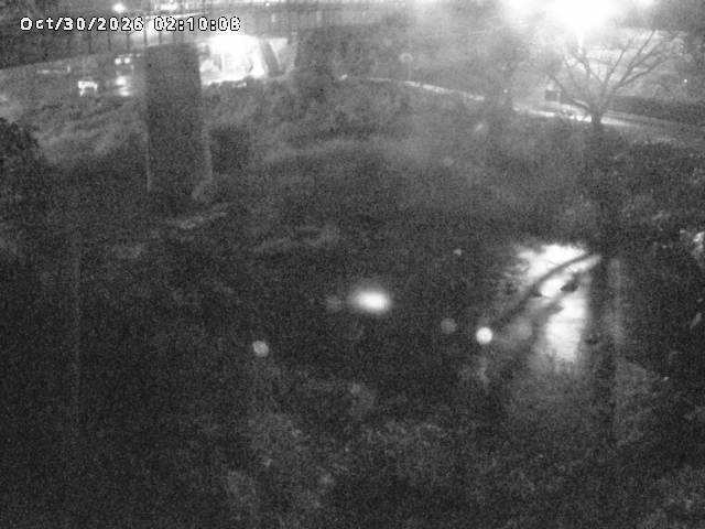 日野川１０2026/10/30 3:30:00