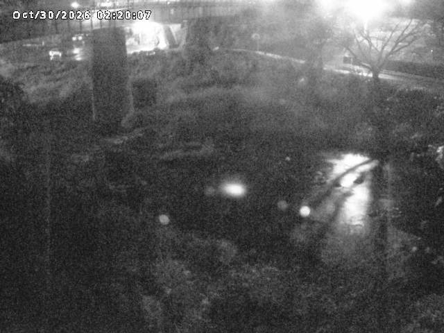 日野川１０2026/10/30 3:30:00