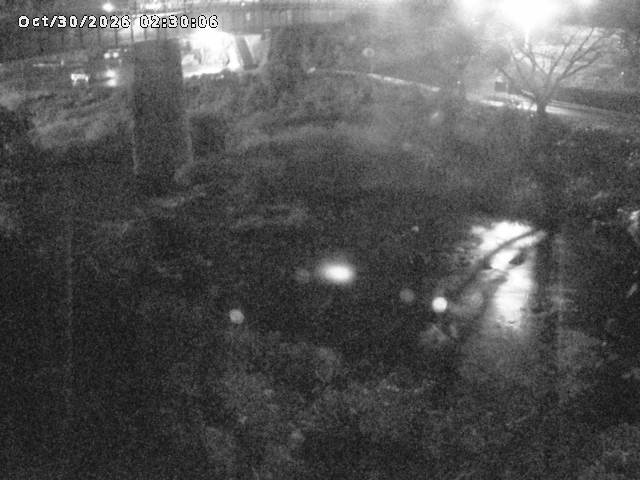 日野川１０2026/10/30 3:30:00