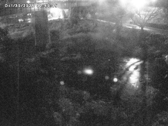日野川１０2026/10/30 3:30:00
