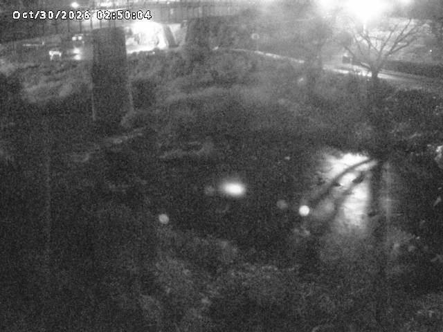 日野川１０2026/10/30 3:30:00