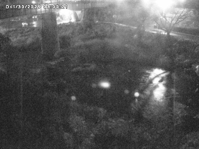 日野川１０2026/10/30 3:30:00