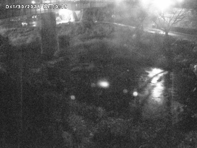日野川１０2026/10/30 3:30:00