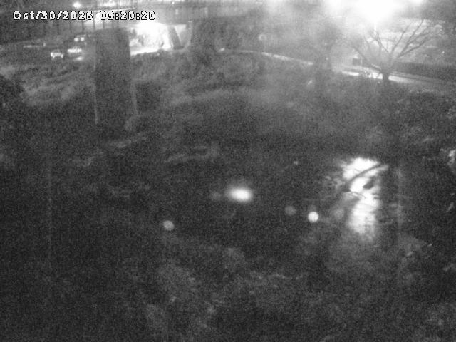 日野川１０2026/10/30 3:30:00