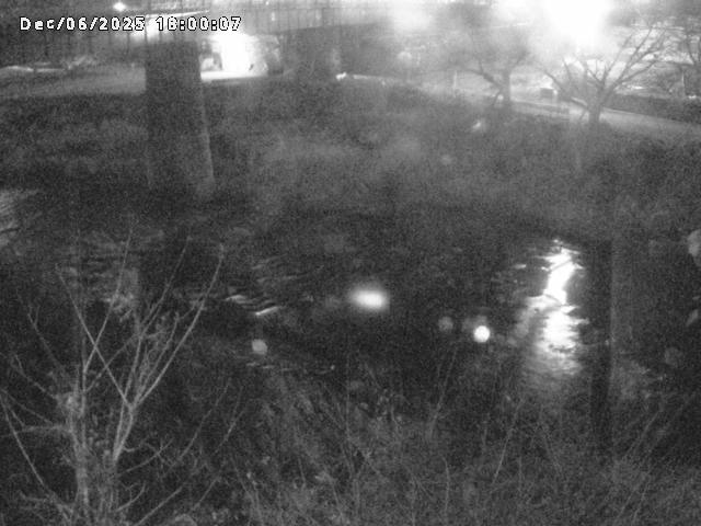 日野川１０2025/12/07 16:50:00