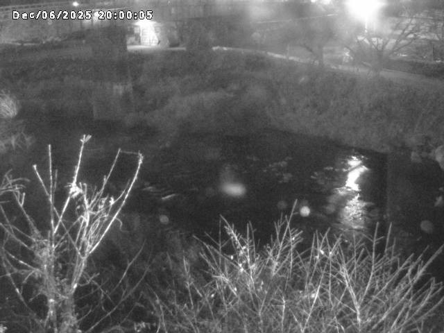 日野川１０2025/12/07 16:50:00