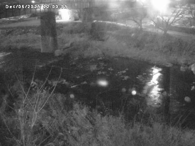 日野川１０2025/12/07 16:50:00