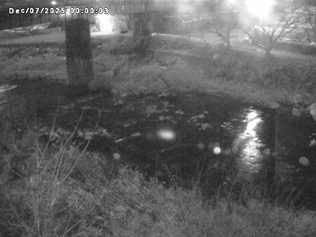 日野川１０2025/12/07 16:50:00