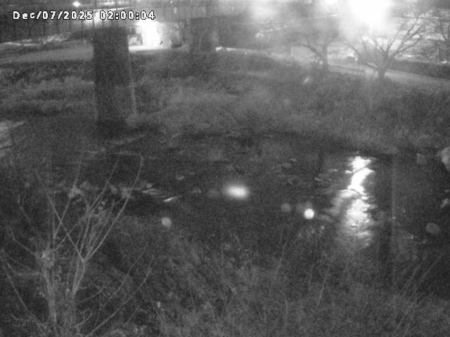 日野川１０2025/12/07 16:50:00