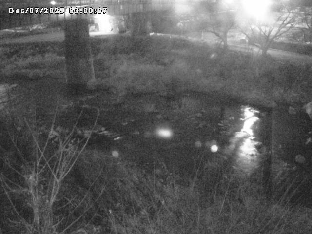 日野川１０2025/12/07 16:50:00