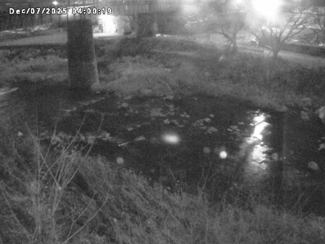 日野川１０2025/12/07 16:50:00