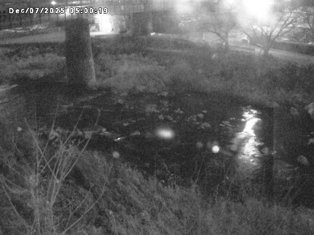 日野川１０2025/12/07 16:50:00