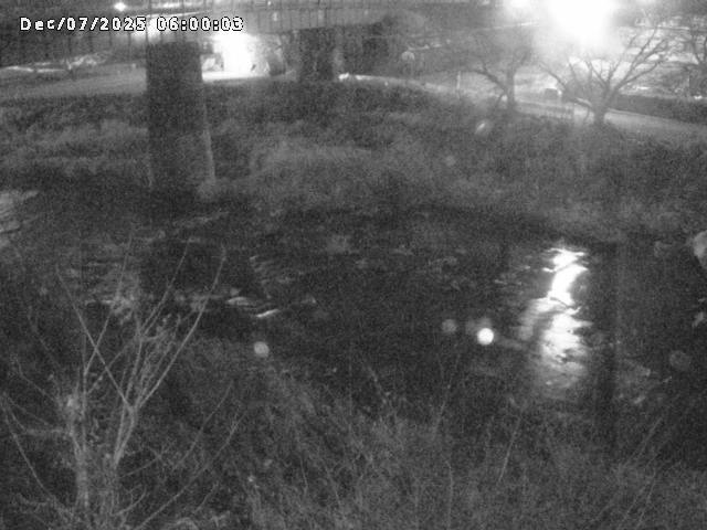 日野川１０2025/12/07 16:50:00