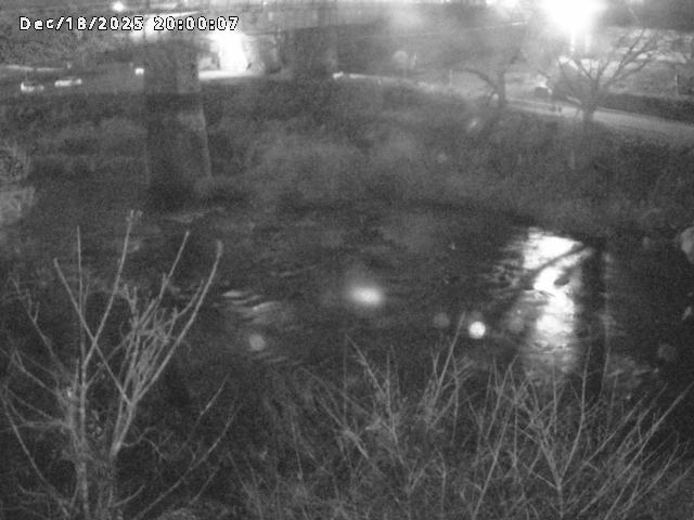 日野川１０2025/12/19 20:00:00