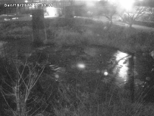 日野川１０2025/12/19 20:00:00